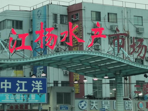 中国国际水产博览会走进上海 江杨水产市场